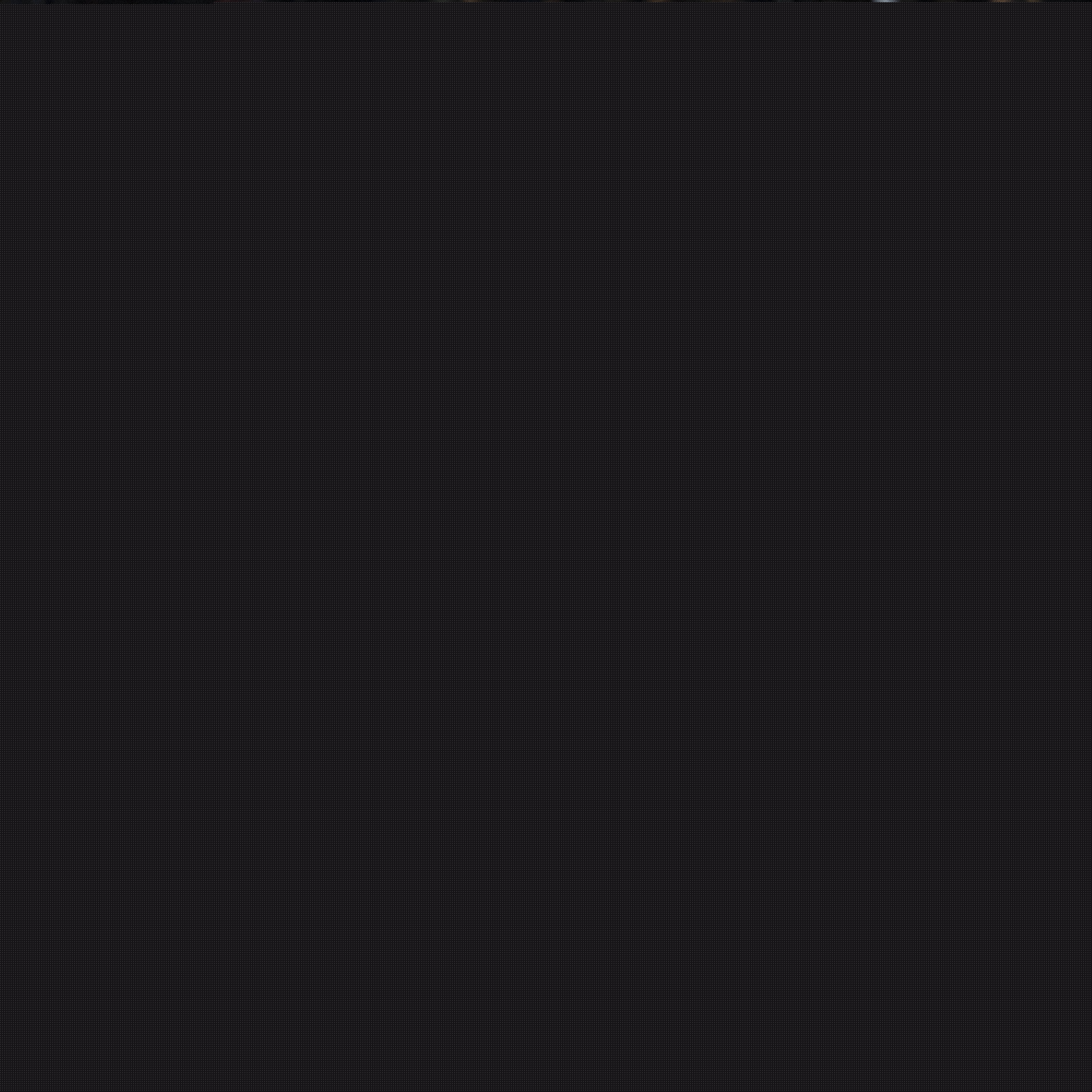 一个