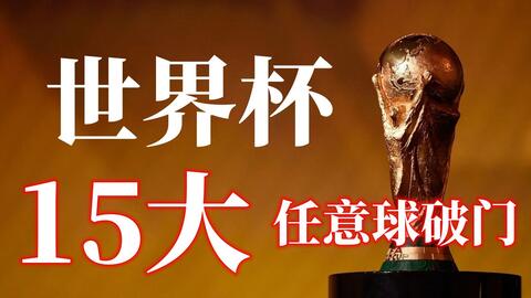 他们对教练