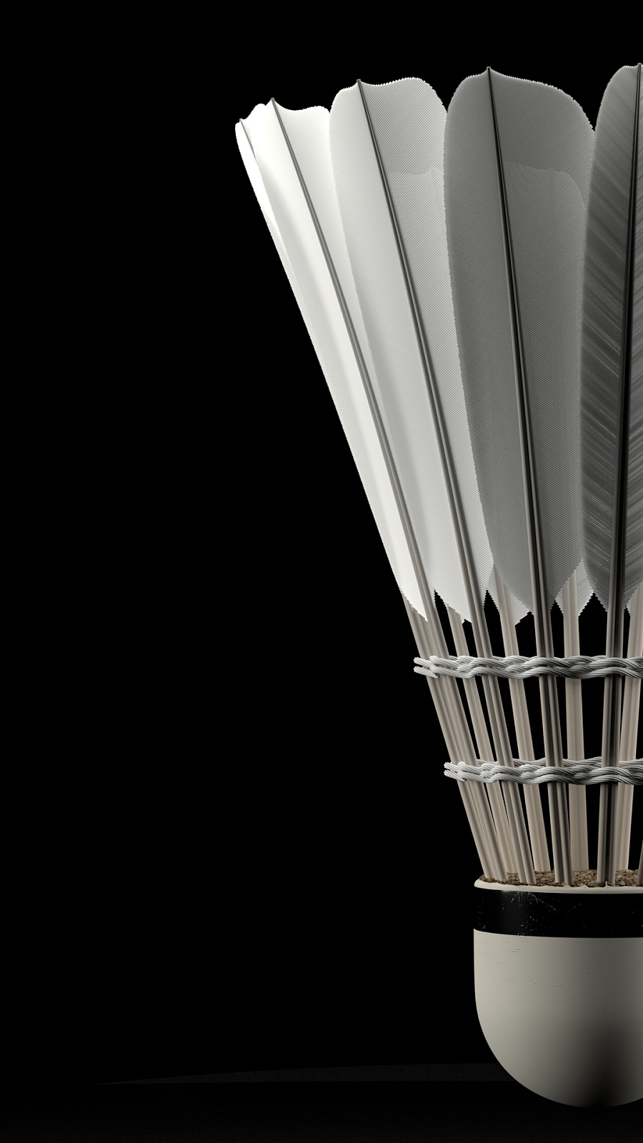 立一种更具 立一种更具